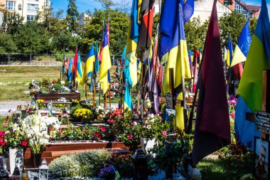 Lviv, Ukrayna, 23 Ağustos 2024 Lviv Askeri Mezarlığı. Askerlerin mezarları, Ukrayna 'yı savunan kahramanlar göz alabildiğince uzanan çiçeklerle kaplıdır. Her gün yeni cenazeler ekleniyor.