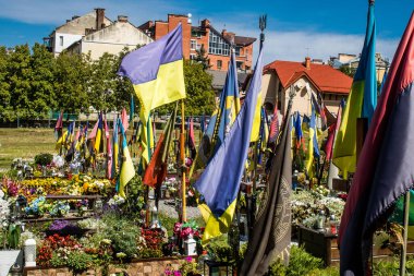 Lviv, Ukrayna, 23 Ağustos 2024 Lviv Askeri Mezarlığı. Askerlerin mezarları, Ukrayna 'yı savunan kahramanlar göz alabildiğince uzanan çiçeklerle kaplıdır. Her gün yeni cenazeler ekleniyor.