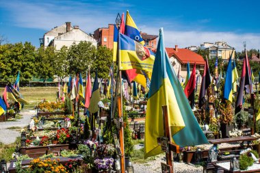 Lviv, Ukrayna, 23 Ağustos 2024 Lviv Askeri Mezarlığı. Askerlerin mezarları, Ukrayna 'yı savunan kahramanlar göz alabildiğince uzanan çiçeklerle kaplıdır. Her gün yeni cenazeler ekleniyor.