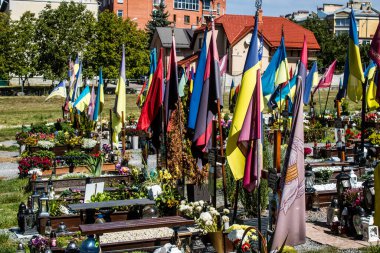 Lviv, Ukrayna, 23 Ağustos 2024 Lviv Askeri Mezarlığı. Askerlerin mezarları, Ukrayna 'yı savunan kahramanlar göz alabildiğince uzanan çiçeklerle kaplıdır. Her gün yeni cenazeler ekleniyor.