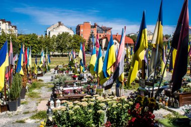 Lviv, Ukrayna, 23 Ağustos 2024 Lviv Askeri Mezarlığı. Askerlerin mezarları, Ukrayna 'yı savunan kahramanlar göz alabildiğince uzanan çiçeklerle kaplıdır. Her gün yeni cenazeler ekleniyor.