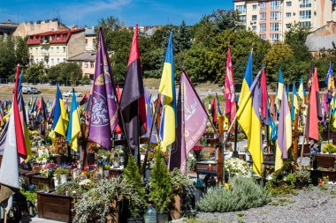 Lviv, Ukrayna, 23 Ağustos 2024 Lviv Askeri Mezarlığı. Askerlerin mezarları, Ukrayna 'yı savunan kahramanlar göz alabildiğince uzanan çiçeklerle kaplıdır. Her gün yeni cenazeler ekleniyor.