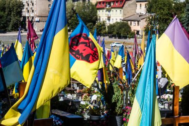 Lviv, Ukrayna, 23 Ağustos 2024 Lviv Askeri Mezarlığı. Askerlerin mezarları, Ukrayna 'yı savunan kahramanlar göz alabildiğince uzanan çiçeklerle kaplıdır. Her gün yeni cenazeler ekleniyor.