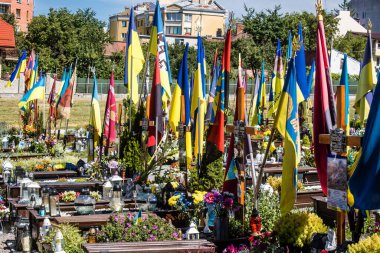 Lviv, Ukrayna, 23 Ağustos 2024 Lviv Askeri Mezarlığı. Askerlerin mezarları, Ukrayna 'yı savunan kahramanlar göz alabildiğince uzanan çiçeklerle kaplıdır. Her gün yeni cenazeler ekleniyor.