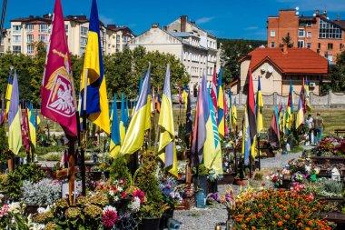 Lviv, Ukrayna, 23 Ağustos 2024 Lviv Askeri Mezarlığı. Askerlerin mezarları, Ukrayna 'yı savunan kahramanlar göz alabildiğince uzanan çiçeklerle kaplıdır. Her gün yeni cenazeler ekleniyor.