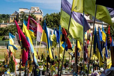 Lviv, Ukrayna, 23 Ağustos 2024 Lviv Askeri Mezarlığı. Askerlerin mezarları, Ukrayna 'yı savunan kahramanlar göz alabildiğince uzanan çiçeklerle kaplıdır. Her gün yeni cenazeler ekleniyor.