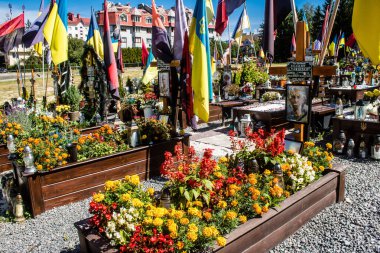 Lviv, Ukrayna, 23 Ağustos 2024 Lviv Askeri Mezarlığı. Askerlerin mezarları, Ukrayna 'yı savunan kahramanlar göz alabildiğince uzanan çiçeklerle kaplıdır. Her gün yeni cenazeler ekleniyor.