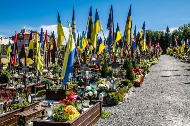 Lviv, Ukrayna, 23 Ağustos 2024 Lviv Askeri Mezarlığı. Askerlerin mezarları, Ukrayna 'yı savunan kahramanlar göz alabildiğince uzanan çiçeklerle kaplıdır. Her gün yeni cenazeler ekleniyor.