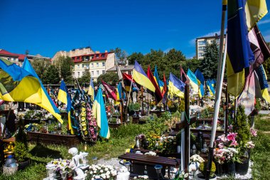 Lviv, Ukrayna, 23 Ağustos 2024 Lviv Askeri Mezarlığı. Askerlerin mezarları, Ukrayna 'yı savunan kahramanlar göz alabildiğince uzanan çiçeklerle kaplıdır. Her gün yeni cenazeler ekleniyor.