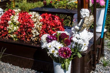 Lviv, Ukrayna, 28 Ağustos 2024 Lviv Askeri Mezarlığı. Askerlerin mezarları, Ukrayna 'yı savunan kahramanlar göz alabildiğince uzanan çiçeklerle kaplıdır. Her gün yeni cenazeler ekleniyor.