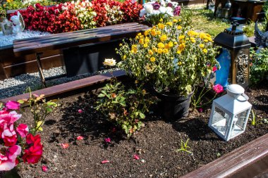 Lviv, Ukrayna, 28 Ağustos 2024 Lviv Askeri Mezarlığı. Askerlerin mezarları, Ukrayna 'yı savunan kahramanlar göz alabildiğince uzanan çiçeklerle kaplıdır. Her gün yeni cenazeler ekleniyor.