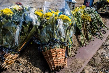 Lviv, Ukrayna, 28 Ağustos 2024 Lviv Askeri Mezarlığı. Askerlerin mezarları, Ukrayna 'yı savunan kahramanlar göz alabildiğince uzanan çiçeklerle kaplıdır. Her gün yeni cenazeler ekleniyor.