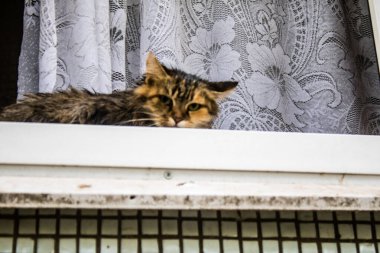 Harkiv, Ukrayna, 12 Eylül 2024, Harkiv 'in kuzeyindeki Saltivka' da Hasarlı Bina. Banliyö bölgesi, Rusya 'nın bombardımanından ülkedeki diğer bölgelerden daha fazla etkilendi..