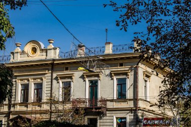 Kharkiv, Ukrayna, 18 Eylül 2024 Shevchenko Bahçesi, yüzyıllık meşe ağaçları, fıskiyeler, çiçek yatakları ve spor malzemeleriyle Harkiv 'in göbeğindeki zarif park. İnsanlar oraya yürümeyi sever..