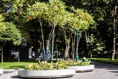 Kharkiv, Ukrayna, 18 Eylül 2024 Shevchenko Bahçesi, yüzyıllık meşe ağaçları, fıskiyeler, çiçek yatakları ve spor malzemeleriyle Harkiv 'in göbeğindeki zarif park. İnsanlar oraya yürümeyi sever..