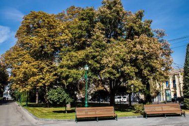Kharkiv, Ukrayna, 18 Eylül 2024 Shevchenko Bahçesi, yüzyıllık meşe ağaçları, fıskiyeler, çiçek yatakları ve spor malzemeleriyle Harkiv 'in göbeğindeki zarif park. İnsanlar oraya yürümeyi sever..