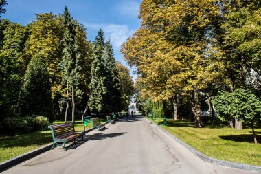 Kharkiv, Ukrayna, 18 Eylül 2024 Shevchenko Bahçesi, yüzyıllık meşe ağaçları, fıskiyeler, çiçek yatakları ve spor malzemeleriyle Harkiv 'in göbeğindeki zarif park. İnsanlar oraya yürümeyi sever..