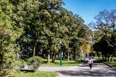 Kharkiv, Ukrayna, 18 Eylül 2024 Shevchenko Bahçesi, yüzyıllık meşe ağaçları, fıskiyeler, çiçek yatakları ve spor malzemeleriyle Harkiv 'in göbeğindeki zarif park. İnsanlar oraya yürümeyi sever..