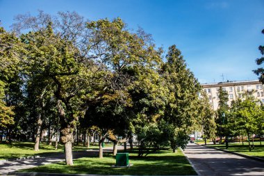 Kharkiv, Ukrayna, 18 Eylül 2024 Shevchenko Bahçesi, yüzyıllık meşe ağaçları, fıskiyeler, çiçek yatakları ve spor malzemeleriyle Harkiv 'in göbeğindeki zarif park. İnsanlar oraya yürümeyi sever..