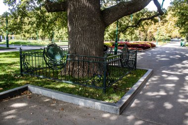 Kharkiv, Ukrayna, 18 Eylül 2024 Shevchenko Bahçesi, yüzyıllık meşe ağaçları, fıskiyeler, çiçek yatakları ve spor malzemeleriyle Harkiv 'in göbeğindeki zarif park. İnsanlar oraya yürümeyi sever..