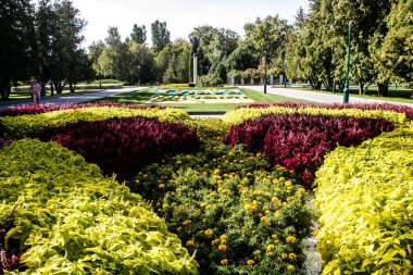 Kharkiv, Ukrayna, 18 Eylül 2024 Shevchenko Bahçesi, yüzyıllık meşe ağaçları, fıskiyeler, çiçek yatakları ve spor malzemeleriyle Harkiv 'in göbeğindeki zarif park. İnsanlar oraya yürümeyi sever..