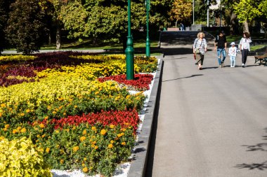 Kharkiv, Ukrayna, 18 Eylül 2024 Shevchenko Bahçesi, yüzyıllık meşe ağaçları, fıskiyeler, çiçek yatakları ve spor malzemeleriyle Harkiv 'in göbeğindeki zarif park. İnsanlar oraya yürümeyi sever..