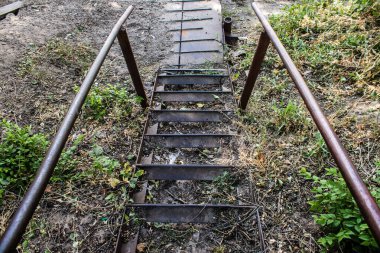 Kharkiv, Ukrayna, 18 Eylül 2024 Shevchenko Bahçesi, yüzyıllık meşe ağaçları, fıskiyeler, çiçek yatakları ve spor malzemeleriyle Harkiv 'in göbeğindeki zarif park. İnsanlar oraya yürümeyi sever..