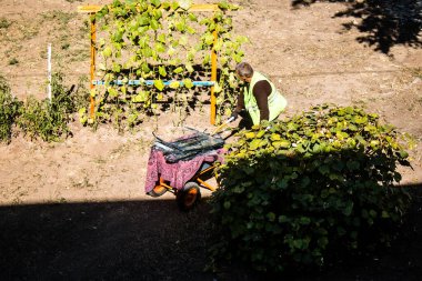 Kharkiv, Ukrayna, 22 Eylül 2024 'te Rusya' nın Shevchenkivsky bölgesinde bir ilkokula düzenlediği saldırıdan sonra. Patlama cam ve metal parçaları büyük hasara yol açtı..