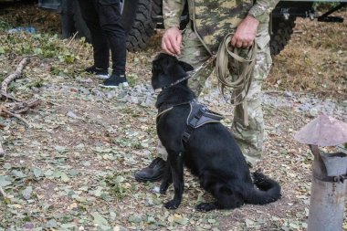Kharkiv, Ukrayna, 24 Eylül 2024 KAB sınıfı bir savaş başlığıyla donatılmış bir Rus bombardıman uçağı Kharkiv 'deki bir yerleşim yerini kısmen yok etti. Kurtarma ekipleri saldırı mahallinde..