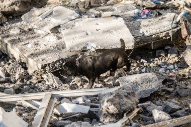 Kharkiv, Ukrayna, 24 Eylül 2024 KAB sınıfı bir savaş başlığıyla donatılmış bir Rus bombardıman uçağı Kharkiv 'deki bir yerleşim yerini kısmen yok etti. Kurtarma ekipleri saldırı mahallinde..