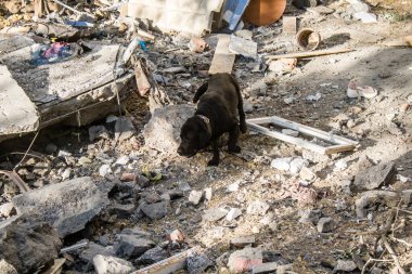 Kharkiv, Ukrayna, 24 Eylül 2024 KAB sınıfı bir savaş başlığıyla donatılmış bir Rus bombardıman uçağı Kharkiv 'deki bir yerleşim yerini kısmen yok etti. Kurtarma ekipleri saldırı mahallinde..