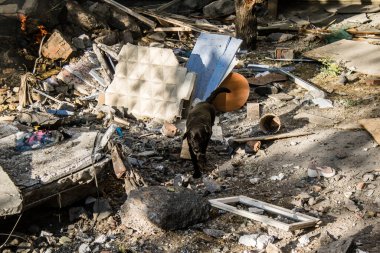 Kharkiv, Ukrayna, 24 Eylül 2024 KAB sınıfı bir savaş başlığıyla donatılmış bir Rus bombardıman uçağı Kharkiv 'deki bir yerleşim yerini kısmen yok etti. Kurtarma ekipleri saldırı mahallinde..