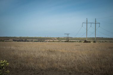 Kharkiv Oblastı, Ukrayna, 18 Eylül 2024 Ukrayna ve Rus silahlı kuvvetleri arasındaki gri bölgede. Bu tampon bölge tehlikeli ve bölgede öfke ile mücadele ediliyor..