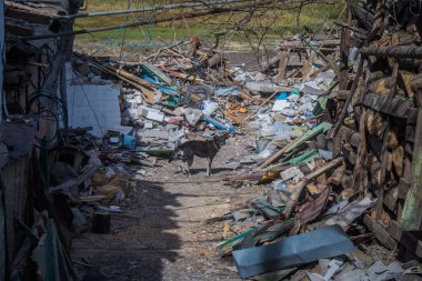 Borivska Selyshchna, Ukrayna, 28 Eylül 2024 Borivska Selyshchna şehri. Rusya ile savaş sırasında, Borivska Selyshchna şehri füzeler tarafından tehdit edildi. Altyapı ve binalar birincil hedeflerdir.