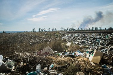 Kharkiv Oblastı, Ukrayna, 18 Eylül 2024 Ukrayna ve Rus silahlı kuvvetleri arasındaki gri bölgede. Bu tampon bölge tehlikeli ve bölgede öfke ile mücadele ediliyor..