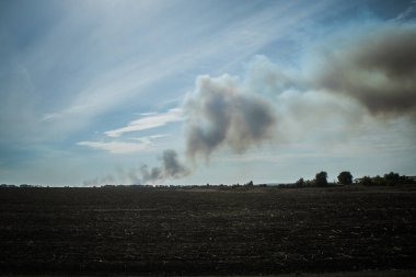 Kharkiv Oblastı, Ukrayna, 18 Eylül 2024 Ukrayna ve Rus silahlı kuvvetleri arasındaki gri bölgede. Bu tampon bölge tehlikeli ve bölgede öfke ile mücadele ediliyor..