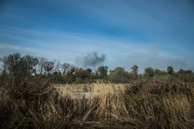 Kharkiv Oblastı, Ukrayna, 18 Eylül 2024 Ukrayna ve Rus silahlı kuvvetleri arasındaki gri bölgede. Bu tampon bölge tehlikeli ve bölgede öfke ile mücadele ediliyor..