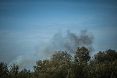 Kharkiv Oblastı, Ukrayna, 18 Eylül 2024 Ukrayna ve Rus silahlı kuvvetleri arasındaki gri bölgede. Bu tampon bölge tehlikeli ve bölgede öfke ile mücadele ediliyor..