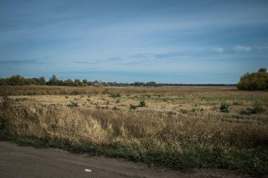 Kharkiv Oblastı, Ukrayna, 18 Eylül 2024 Ukrayna ve Rus silahlı kuvvetleri arasındaki gri bölgede. Bu tampon bölge tehlikeli ve bölgede öfke ile mücadele ediliyor..