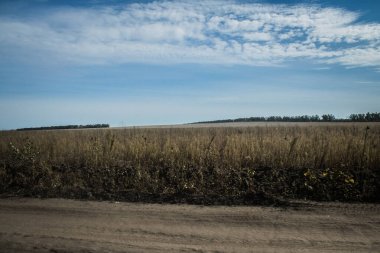 Kharkiv Oblastı, Ukrayna, 18 Eylül 2024 Ukrayna ve Rus silahlı kuvvetleri arasındaki gri bölgede. Bu tampon bölge tehlikeli ve bölgede öfke ile mücadele ediliyor..
