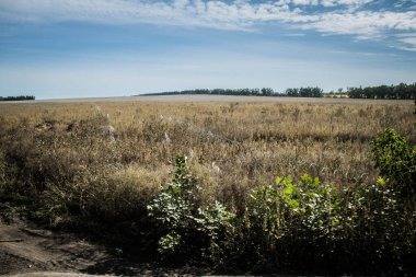Kharkiv Oblastı, Ukrayna, 18 Eylül 2024 Ukrayna ve Rus silahlı kuvvetleri arasındaki gri bölgede. Bu tampon bölge tehlikeli ve bölgede öfke ile mücadele ediliyor..