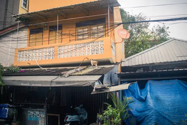 Bangkok, Tayland, 26 Kasım 2024 Cityscape ve Tayland 'ın başkenti Bangkok sokakları. Canlı sokak hayatı, zengin kültür mirası, hareketli pazarları ve nefis mutfağıyla ünlüdür..