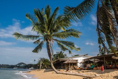 Koh Samui, Tayland, 5 Aralık 2024 Koh Samui plajları Tayland 'ın en güzel plajları arasındadır. Plajlar gelişmemiş ve vahşi ve bozulmamış karakterlerini koruyorlar..