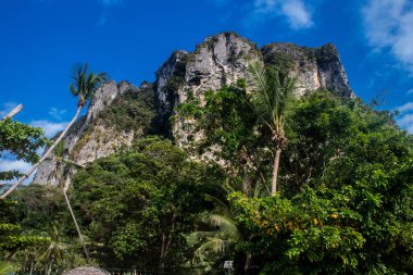 Krabi Adaları, Tayland, 5 Ocak 2025, Tayland, Güney Tayland batı kıyısında, kayalık, kireçtaşı uçurumları, yoğun mangrov ormanları ve yüzden fazla adayla karakterize edilen bir ildir.