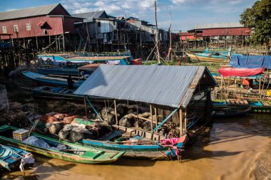 Kampong Phluk, Kamboçya, 15 Ocak 2025 Kampong Phluk, Tonle Sap Gölü üzerine kurulmuş geleneksel bir yüzer köy. Toplum büyük ölçüde hayatta kalmak için balıkçılığa bağımlıdır..