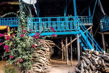 Kampong Phluk, Kamboçya, 15 Ocak 2025 Kampong Phluk, Tonle Sap Gölü üzerine kurulmuş geleneksel bir yüzer köy. Toplum büyük ölçüde hayatta kalmak için balıkçılığa bağımlıdır..