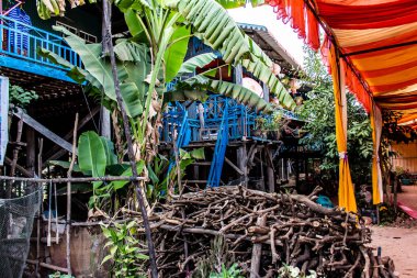 Kampong Phluk, Kamboçya, 15 Ocak 2025 Kampong Phluk, Tonle Sap Gölü üzerine kurulmuş geleneksel bir yüzer köy. Toplum büyük ölçüde hayatta kalmak için balıkçılığa bağımlıdır..