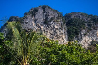 Krabi Adaları, Tayland, 5 Ocak 2025, Tayland, Güney Tayland batı kıyısında, kayalık, kireçtaşı uçurumları, yoğun mangrov ormanları ve yüzden fazla adayla karakterize edilen bir ildir.