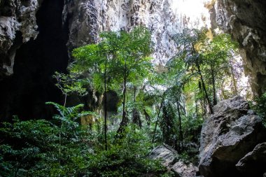 Hua Hin, Tayland, 08 Ocak 2025 Phraya Nakhon Mağarası, milli parktaki mistik mağara. Çarpıcı doğal güzelliklere, zorlu yürüyüşlere ve Kuha Karuhas Pavyonu 'na sahip tarihi bir yer..