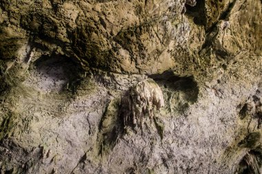 Hua Hin, Tayland, 08 Ocak 2025 Phraya Nakhon Mağarası, milli parktaki mistik mağara. Çarpıcı doğal güzelliklere, zorlu yürüyüşlere ve Kuha Karuhas Pavyonu 'na sahip tarihi bir yer..